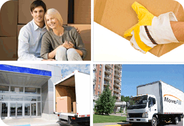 Professional Services